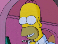 homer simpson GIF