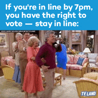 texas vote GIF