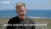 Gordon Ramsay Disney Plus GIF by National Geographic TV