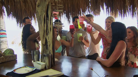 alcohol cheers GIF by Bachelor in Paradise