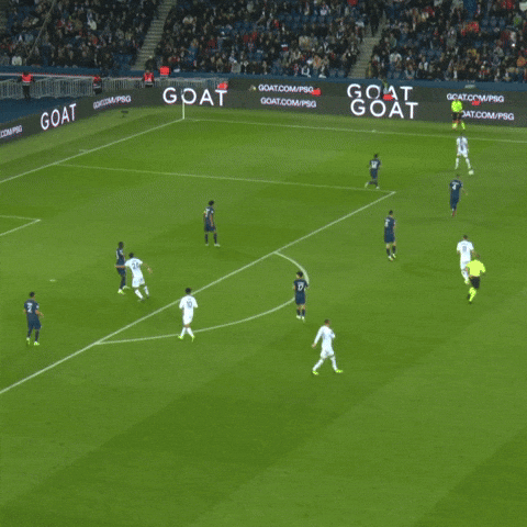 Le but de Laborde ร Paris