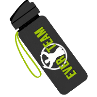 Ever Sticker