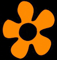 tobewornagain tbwa tobewornagain to be worn again GIF