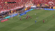 Vice Libertadores GIF