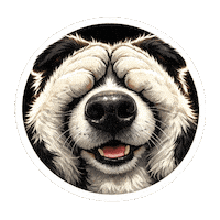 Fun Love Sticker by abana a cauda