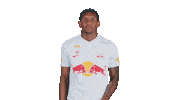 Football Sport Sticker by FC Red Bull Salzburg