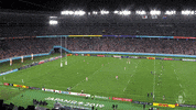 World Rugby Sport GIF by Rugby World Cup