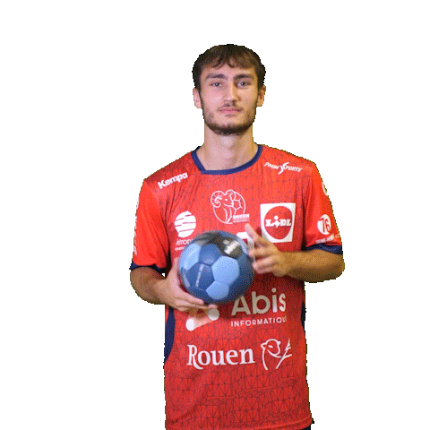 Sport Handball Sticker
