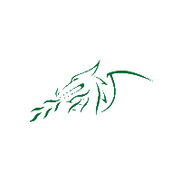 Dragons Bleedgreen Sticker by Sunnybank Rugby