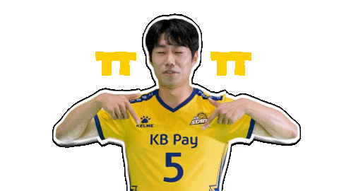 Kb스타즈 Sticker by KB STARS VOLLEYBALL CLUB
