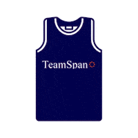 Familyday Sticker by TeamSpan