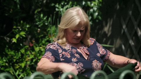 watching sheila canning GIF by Neighbours (Official TV Show account)