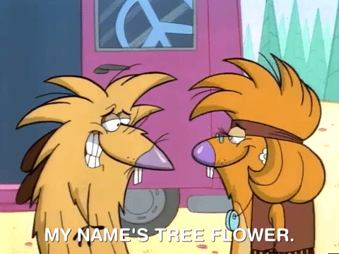 nickrewind giphydvr nicksplat angry beavers giphyab013 GIF
