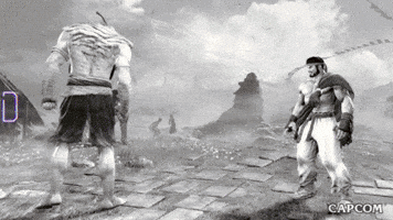 Video Game Ryu GIF by CAPCOM