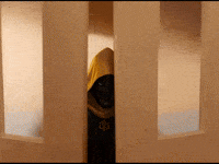 Dance Mascot GIF by CaptainBNB
