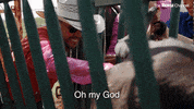 Carpe Dm With Juanpa GIF by The Roku Channel