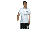 Sge Hello Sticker by Eintracht Frankfurt