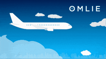 Fly High Pioneer GIF by Omlie Consulting