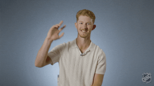 Ice Hockey Hello GIF by NHL