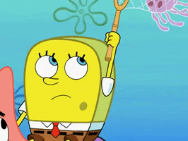 season 6 GIF by SpongeBob SquarePants