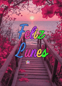 Feliz Gracias GIF by Murcianys LLC