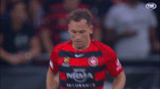 wswanderersfc football celebration goal striker GIF