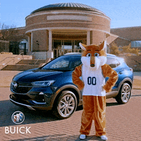 Happy Fox GIF by Buick