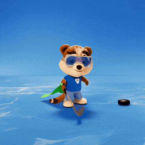 Ice Hockey GIF by TIMOCOM