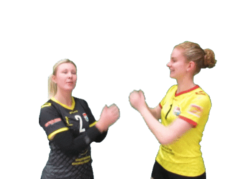 Eredivisie Volleybal Sticker by Draisma Dynamo