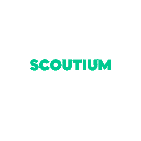 Scoutium giphyupload talent scout find Sticker