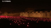 world war 1 GIF by euronews