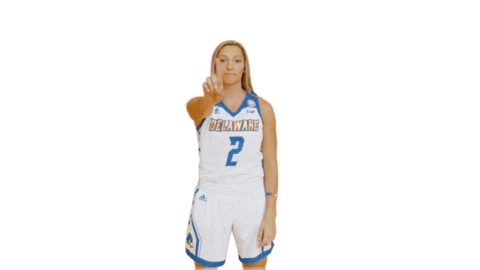 Basketball No Sticker by Delaware Blue Hens