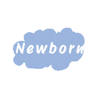 Cakesmash Newbornphotography Sticker