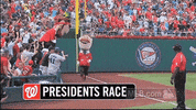 washington nationals baseball GIF by MLB
