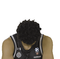Partizan Sticker by sportmts