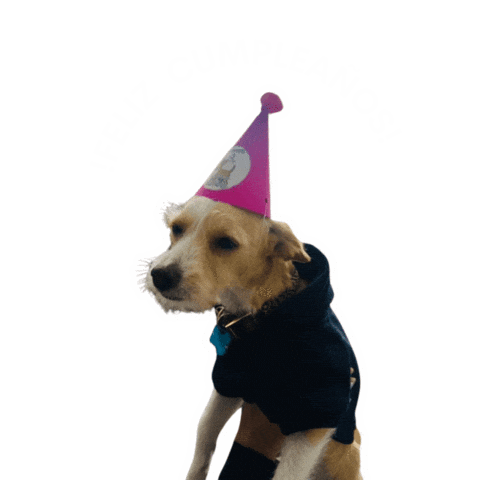 Sinergik giphyupload lilo cumpleaños sinergik Sticker