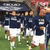 vanvla GIF by LA Galaxy