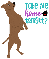 Dog Adopt Sticker by HeARTs Speak