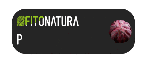 Auxin Sticker by pasaddak.agro