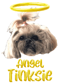 Dog Angel Sticker