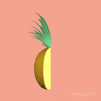 Loop 3D GIF by Animation Domination High-Def