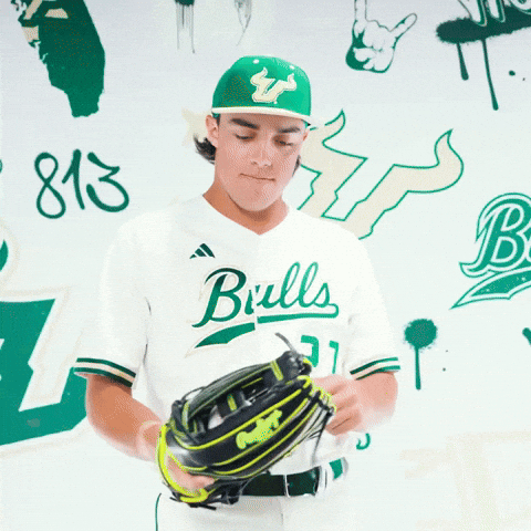 South Florida Baseball GIF by USF Athletics