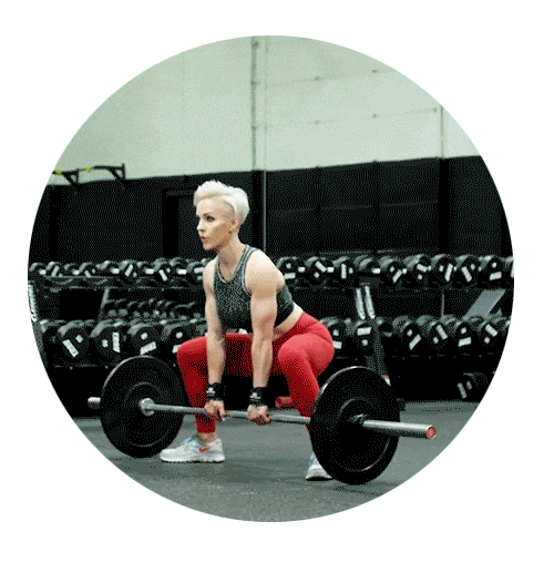 jessiefitness giphyupload workout strong flex Sticker