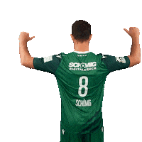 RimparerWoelfe scream handball wolf jubel Sticker
