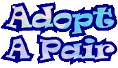 Cat Adopt Sticker by Foster Bubbies