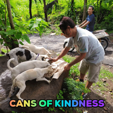 Stray Dogs Indonesia GIF by FOUR PAWS Australia
