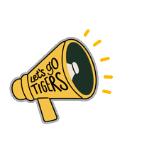 Football Baseball Sticker by Towson University