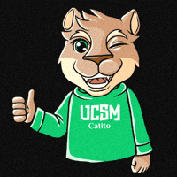 ucatolicadesantamaria Guiño camarada mascota universitaria la católica GIF