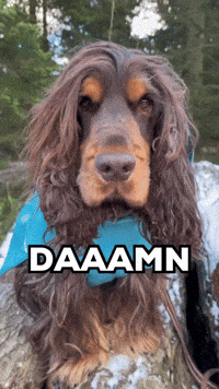 Smuk Yes Mam GIF