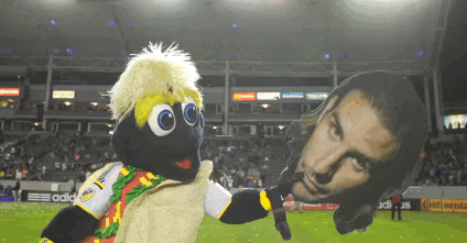 alan gordon GIF by LA Galaxy